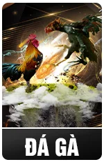 LUCKY88 25 ĐÁ GÀ LUCKY88